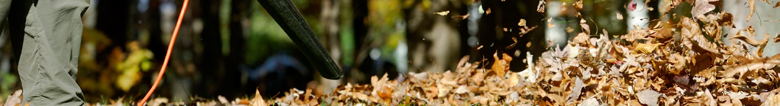Akku Blower für Laub und Boden